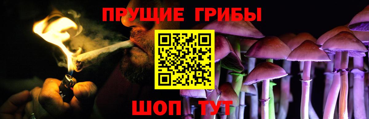даркнет сайт  Вход с VPN  Егорьевск  Галлюциногенные грибы Psilocybine cubensis 